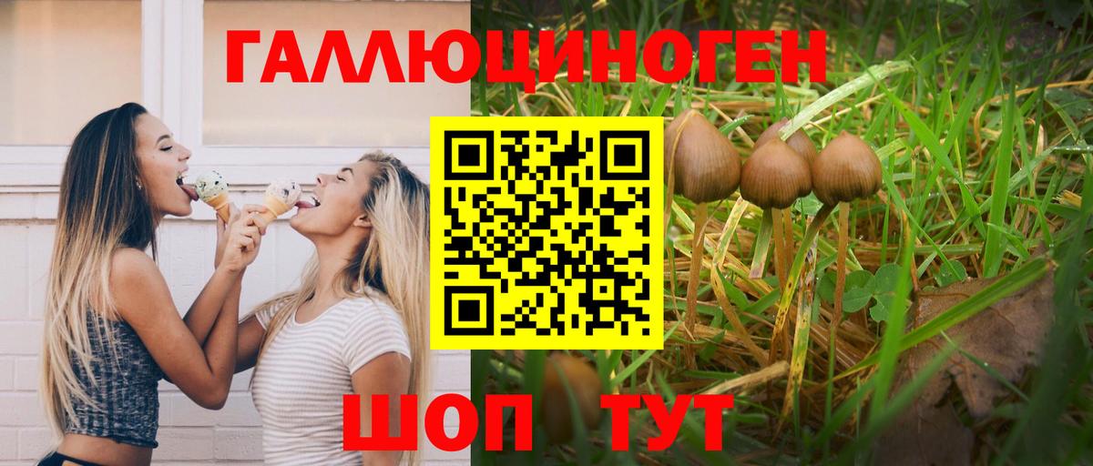 Псилоцибиновые грибы MAGIC MUSHROOMS  Галлюциногенные грибы мухоморы  Вязники  Вход с VPN 