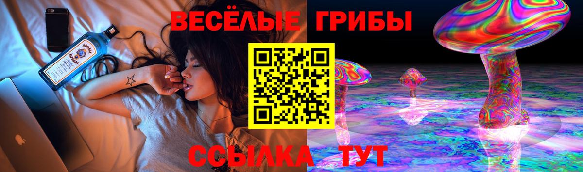 Галлюциногенные грибы Cubensis Вязники